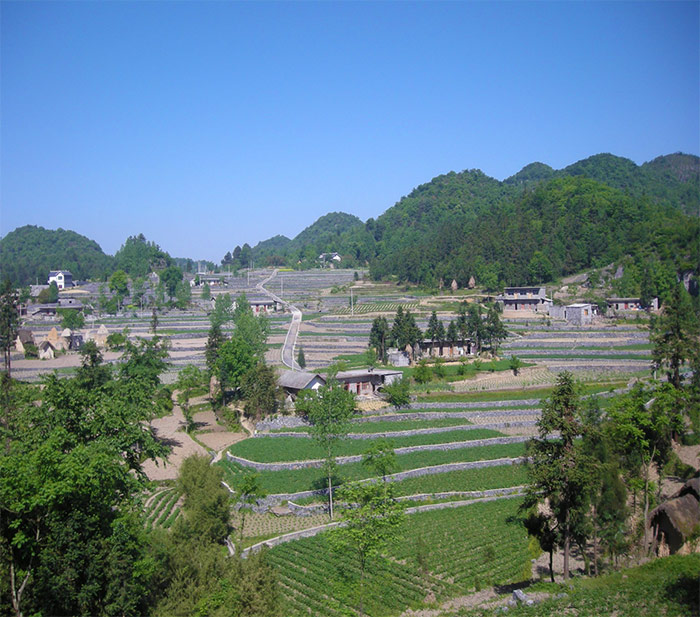 1绿竹小流域坡耕地综合配套路、沟、凼、池配套体系建设.jpg
