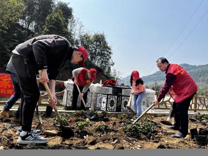 图1：3月12日，在活动现场，参加活动的干部职工和志愿者在种植杜鹃花。.JPG